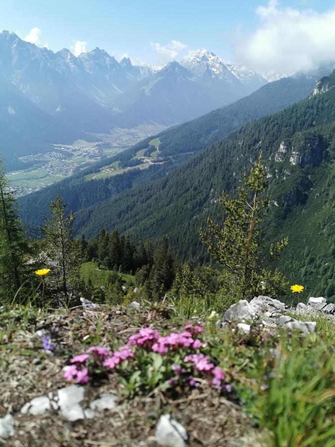 Bergwelt