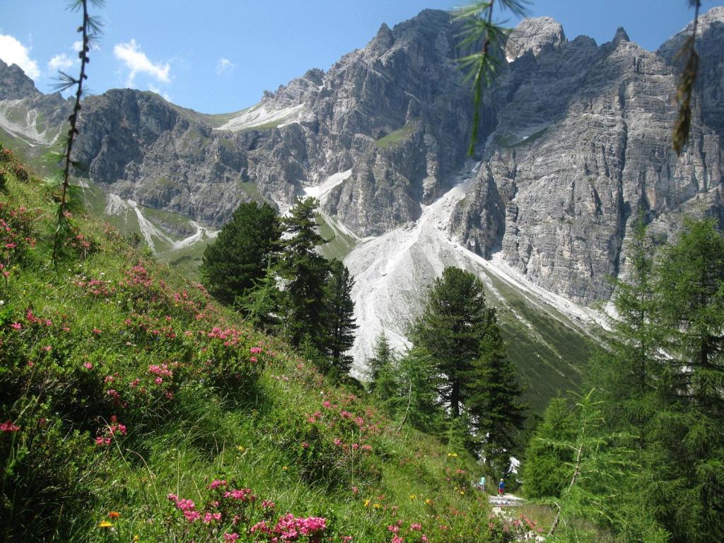 Bergwelt
